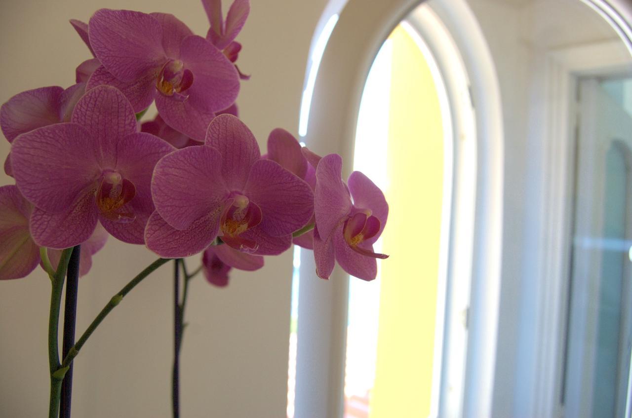 La Terrazza Sul Mare Bed & Breakfast Capri Luaran gambar